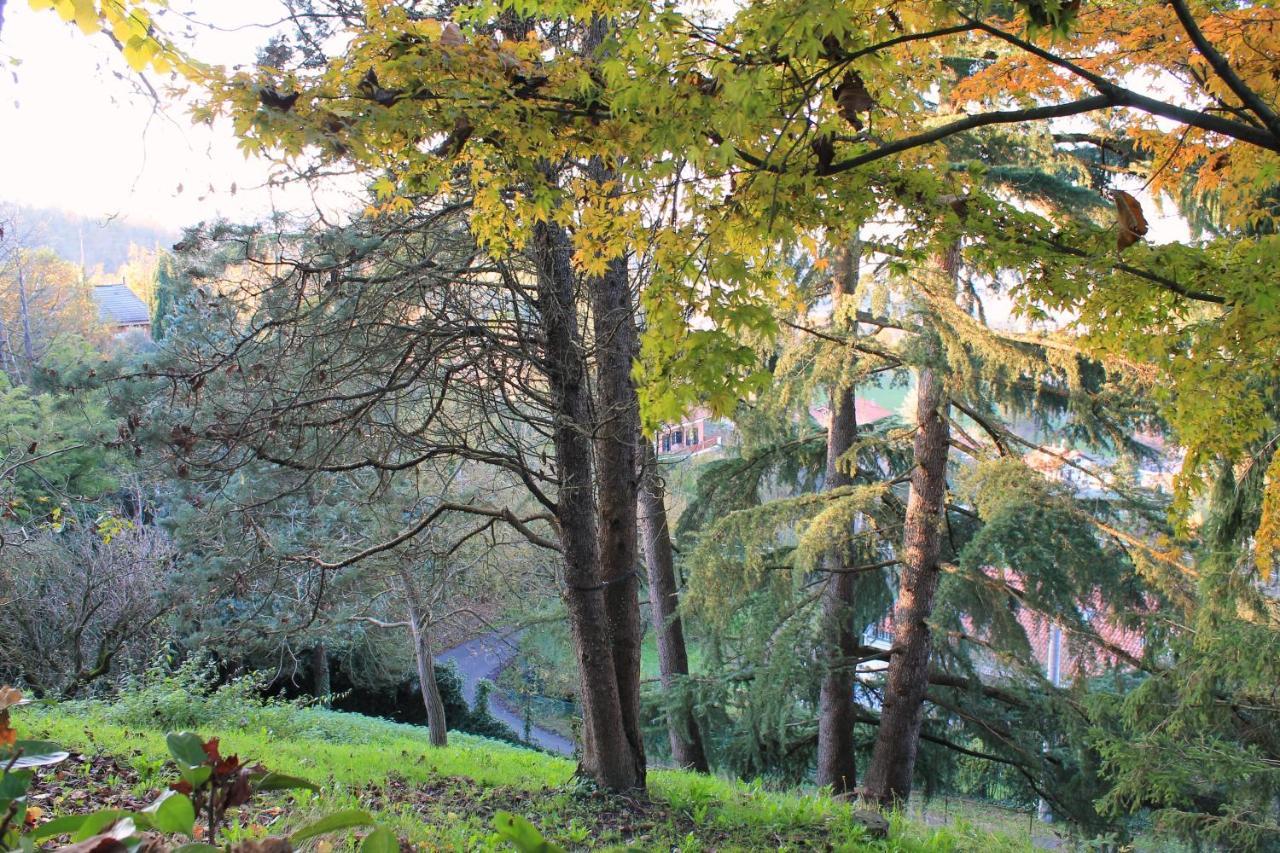 La Casa Di Neh Villa Rivalba Luaran gambar